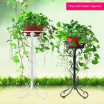 6 Pieces Iron Flower Rack Single-layer Green Rose Chlorophytum Floor Flower Pot Rack Indoor And Outdoor European Living Room Balcony Folding Flower Rack 8087 Small [white]