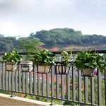 10 Pieces Household Balcony Flower Rack Iron Hanging Pot Railing Multi Meat Green Pineapple Multi-storey Indoor Space Saving Black